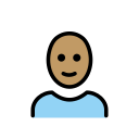 OpenMoji 17.0