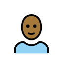 OpenMoji 17.0