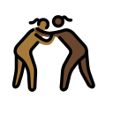 OpenMoji 17.0