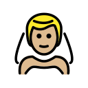 OpenMoji 17.0