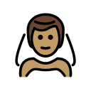 OpenMoji 17.0