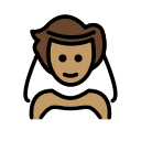 OpenMoji 17.0