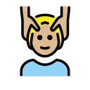 OpenMoji 17.0
