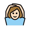 OpenMoji 17.0