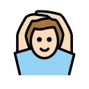 OpenMoji 17.0