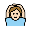 OpenMoji 17.0