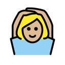 OpenMoji 17.0