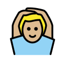 OpenMoji 17.0