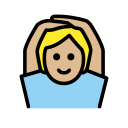 OpenMoji 17.0