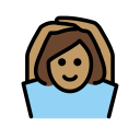 OpenMoji 17.0