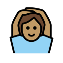 OpenMoji 17.0