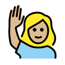 OpenMoji 17.0