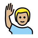 OpenMoji 17.0
