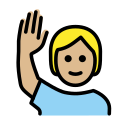 OpenMoji 17.0