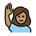 OpenMoji 17.0