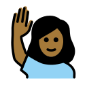 OpenMoji 17.0