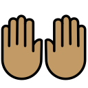 OpenMoji 17.0