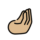 OpenMoji 17.0