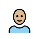 OpenMoji 17.0