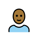 OpenMoji 17.0