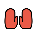 OpenMoji 17.0