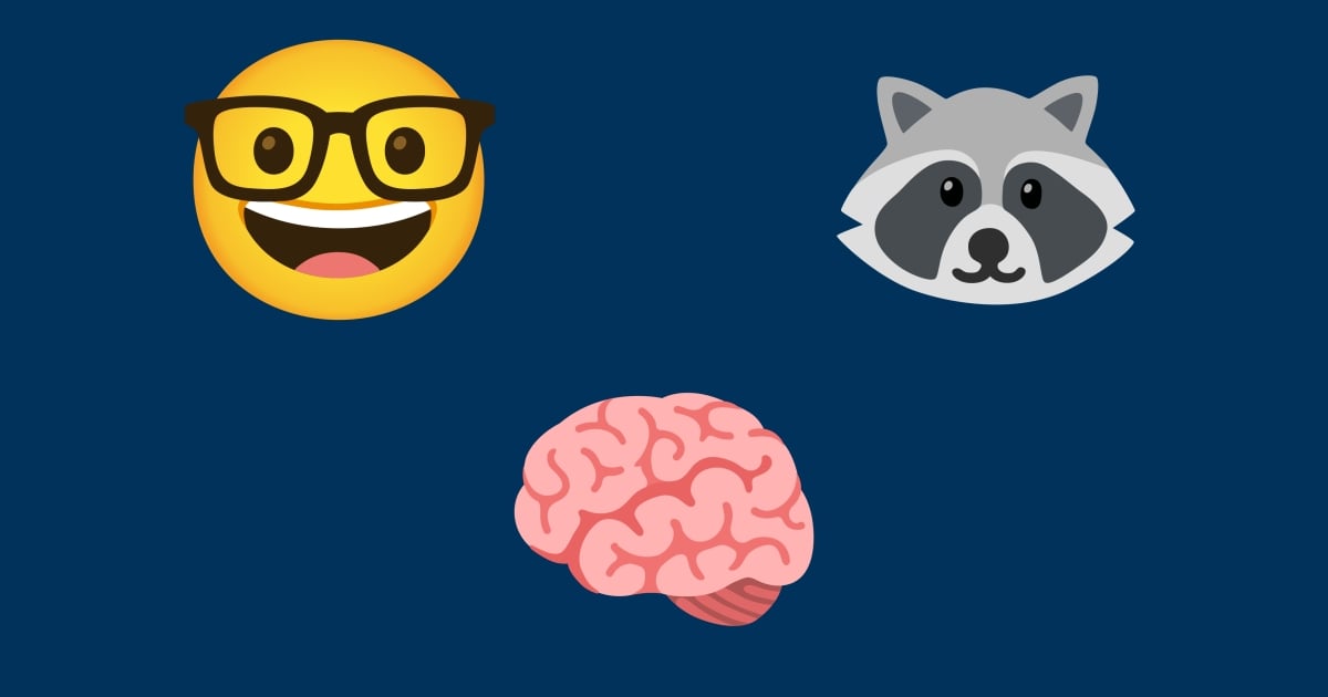 🤓 schlau Emojis 🧠 🦝