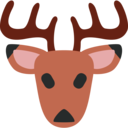 ๐ฆ Deer Twitter