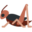 🦗 Cricket Emoji