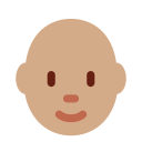 Twemoji v13.0