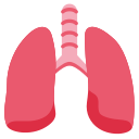 Twemoji v13.0