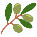 Twemoji v13.0