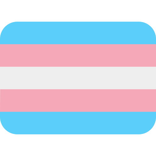 trans and gay flag icon